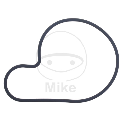 Tesnenie  vodnej pumpy ATHENA S410510024030