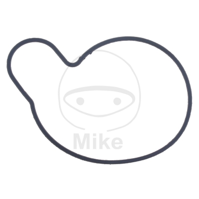 Tesnenie  vodnej pumpy ATHENA S410510024021