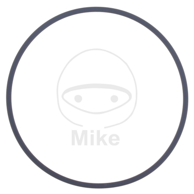 Tesnenie  vodnej pumpy ATHENA M752006000004 2X60 mm