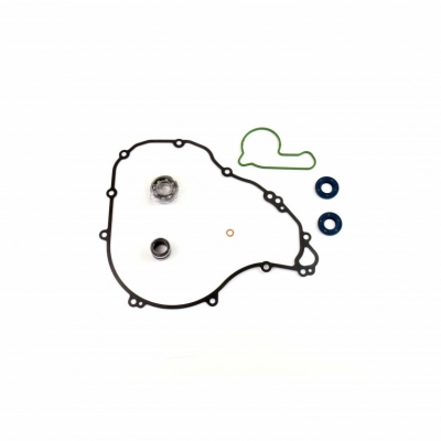 Tesnenie vodnej pumpy-sada ATHENA P400270475012