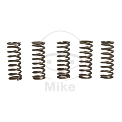 Sada  spojkových pružín EBC CSK112 5