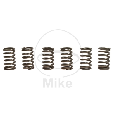 Sada  spojkových pružín EBC CSK129 6