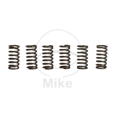 Sada  spojkových pružín EBC CSK190 6