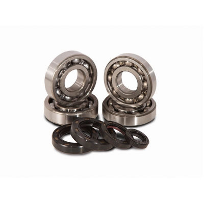 Hlavné súpravy ložísk a tesnení HOT RODS K229