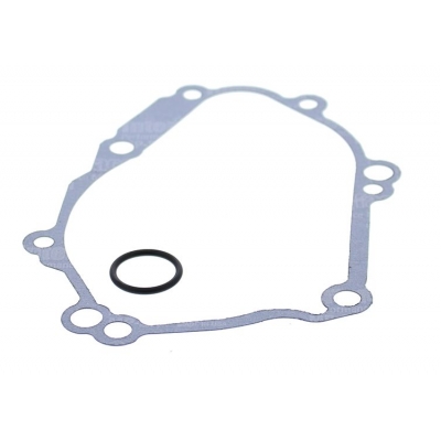 Tesnenie vika zapaľovania WINDEROSA ICG 331036