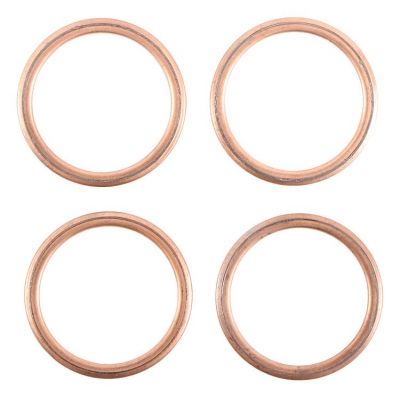 Tesnenie zvodu výfuku sada WINDEROSA EGK 823025